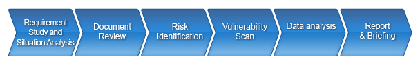 security assessment